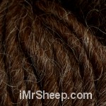 Cascade PASTAZA, 072 Timber Brown
