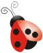 Ladybug