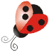 Ladybug