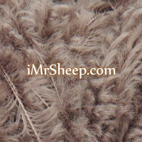 Rico Designs TEDDY [100% Polyester OEKO-TEX Standard 100 Certified], Double Knit