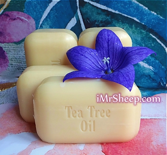 Soap Works TEA TREE OIL BAR SOAP